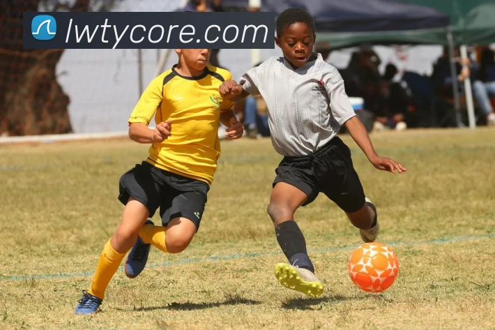 App Interface Preview