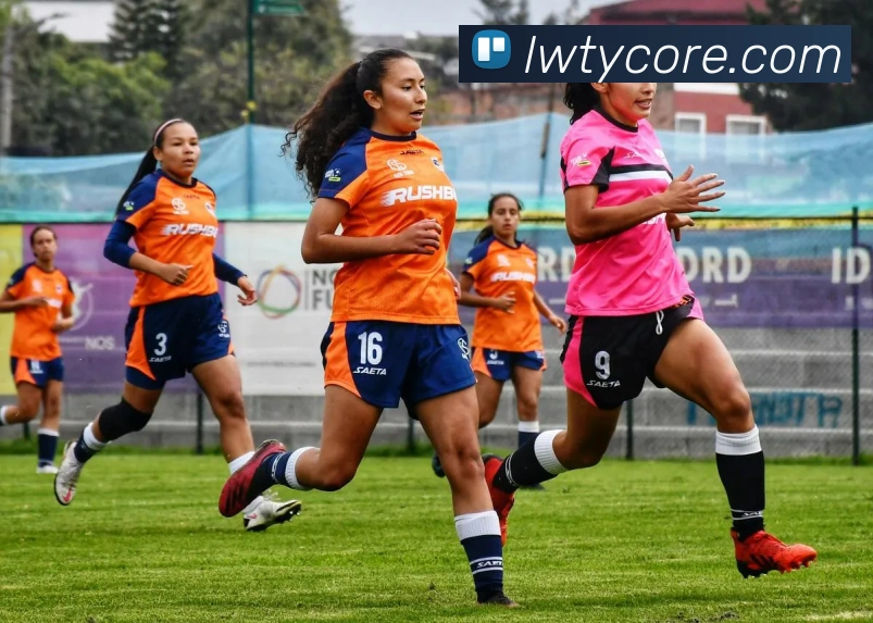 乐玩体育APP 封面图