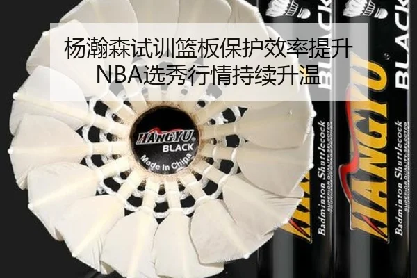 杨瀚森试训篮板保护效率提升 NBA选秀行情持续升温